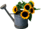 Sunflower.Tournesol.Arrosoir.Victoriabea - PNG gratuit GIF animé