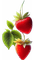 fragole - Free PNG Animated GIF