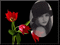 fond tulipe rouge - GIF animado grátis Gif Animado