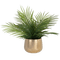 plante - zadarmo png animovaný GIF
