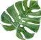 leaf Bb2 - kostenlos png Animiertes GIF