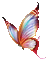 papillon.Cheyenne63 - GIF animate gratis GIF animata
