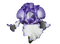 Flowers - ingyenes png animált GIF