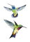 Птицы - безплатен png анимиран GIF