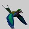 Pájaro de alas verdiazules - δωρεάν png κινούμενο GIF