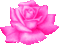 Flower, Flowers, Deco, Decoration, Rose, Roses Pink - Jitter.Bug.Girl - GIF animé gratuit GIF animé