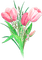 soave deco flowers spring tulips bouquet pink - PNG gratuit GIF animé