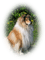 chien - безплатен png анимиран GIF