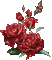 MMarcia gif rosas fleur red - GIF animé gratuit GIF animé