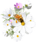 цветыгуля - nemokama png animuotas GIF