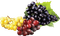 patricia87 fruit - ilmainen png animoitu GIF