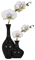 Blumenvase - безплатен png анимиран GIF