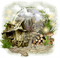 casa  de campo fantasy dubravka4 - Free PNG Animated GIF