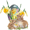 Easter bunny - GIF animé gratuit