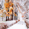 background animated hintergrund winter milla1959 - Безплатен анимиран GIF анимиран GIF