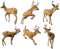 deers - besplatni png animirani GIF