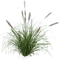 Herbe - 免费PNG 动画 GIF