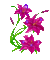 fleurs ( - GIF animado gratis GIF animado