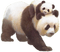 panda - besplatni png animirani GIF
