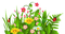 SPRING GRASS FLOWERS DECO printemps fleurs herbe - фрее пнг анимирани ГИФ