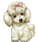sweet puppy - Δωρεάν κινούμενο GIF κινούμενο GIF