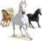 Kaz_Creations Animals Horses Horse - 無料png アニメーションGIF