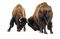 bison - безплатен png анимиран GIF