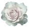 white-rose-flower-minou52 - PNG gratuit GIF animé