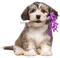 New Year.Dog.Chien.Perro.Victoriabea - png gratuito GIF animata