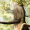 Background. Green. Spring. Tree. Leila - kostenlos png Animiertes GIF