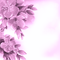 Y.A.M._Spring Summer background  purple - PNG gratuit GIF animé