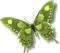 Butterfly Green Yellow - Bogusia - Free PNG Animated GIF