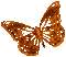 Animated.Butterfly.Brown - KittyKatLuv65 - Free animated GIF Animated GIF