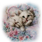 kikkapink vintage pastel color cat cats spring - PNG gratuit GIF animé