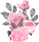 aquarelle, été, fleur, Orabel - PNG gratuit GIF animé