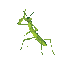 Waving Praying Mantis - GIF animé gratuit GIF animé