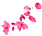 Leaves.Flowers.Pink.Animated - KittyKatLuv65
