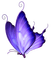 purple butterfly 3 - png gratis GIF animasi