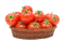 nbl-tomato - png gratis GIF animasi