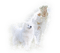 femme avec chien.Cheyenne63 - безплатен png анимиран GIF