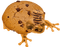 cookie froggy