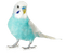 birds budgerigar bp - Free PNG Animated GIF