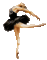ballerine - Darmowy animowany GIF animowany gif