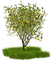 Kaz_Creations Trees Tree - gratis png animerad GIF