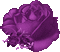 Flower, Flowers, Deco, Decoration, Rose, Roses, Purple - Jitter.Bug.Girl - GIF animado gratis GIF animado