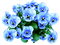 blommor-flowers-blå - zdarma png animovaný GIF