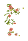 soave deco animated branch flowers - GIF animé gratuit GIF animé