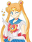 Sailor moon ❤️ elizamio - bezmaksas png animēts GIF