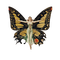 art deco vintage fantasy fairy - Free PNG Animated GIF
