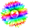 Flower.Rainbow - 無料png アニメーションGIF